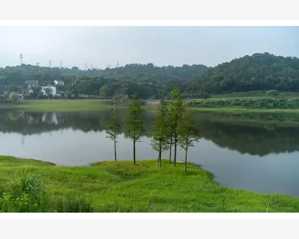 电机驱动器选型安装与调试核心要点_提升曝光与获取询盘的方法
