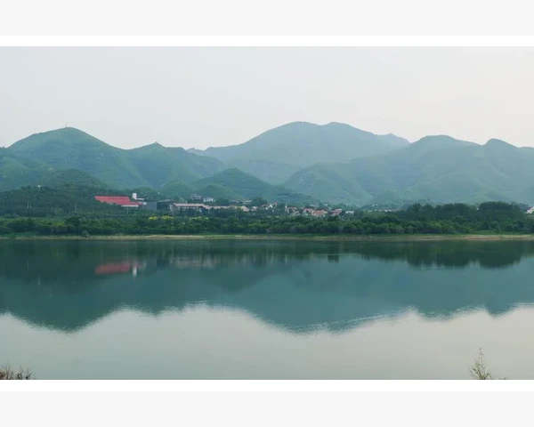 MT4手机登录失败常见原因与解决步骤