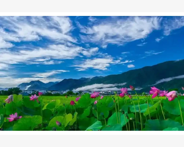 聚企网B2B平台注册到成交全流程实操_聚企网B2B平台注册到成交全流程实操