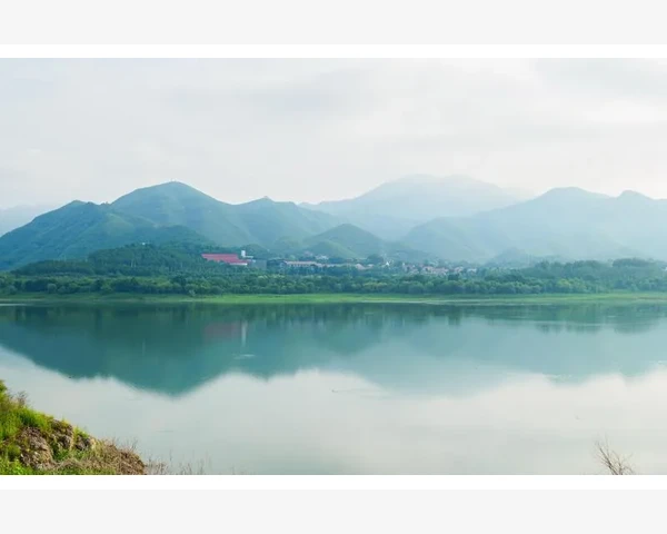 京东B2B模式如何重塑企业采购生态_精准筛选目标工厂和平台
