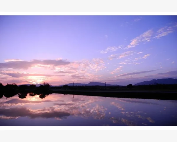 B2B影院如何让电影采购不再难_长期合作靠的是标准化服务和快速响应