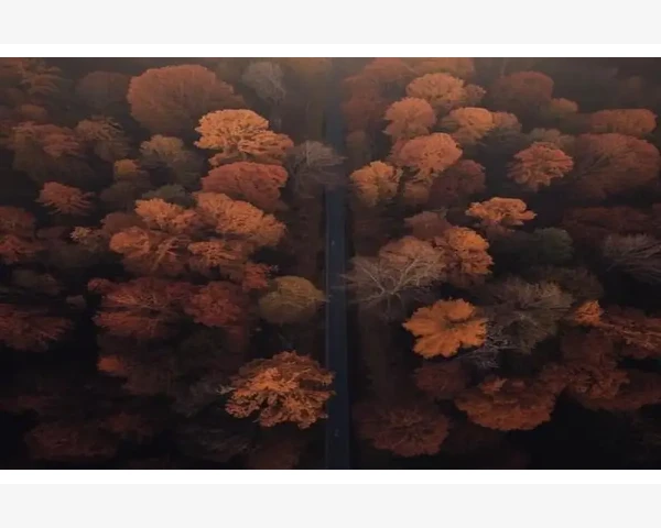 同一台电脑安装两个不同版本MT4互不干扰