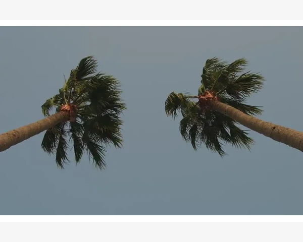 联华超市B2B平台进货体验全拆解_劣势一:账期长和资金周转压力大