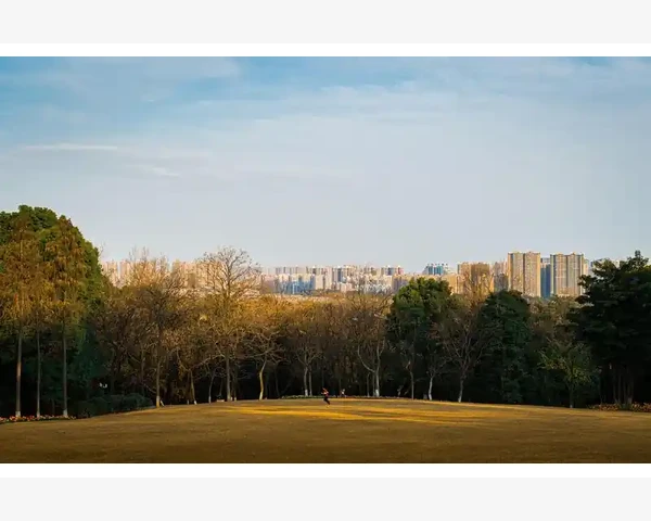 B2B助手让企业采购效率翻倍_交互功能提升采购体验