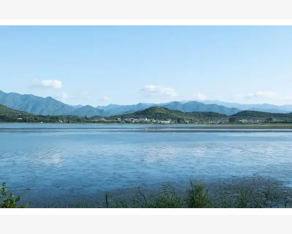 东海航B2B平台操作全流程详解_东海航B2B平台操作全流程详解