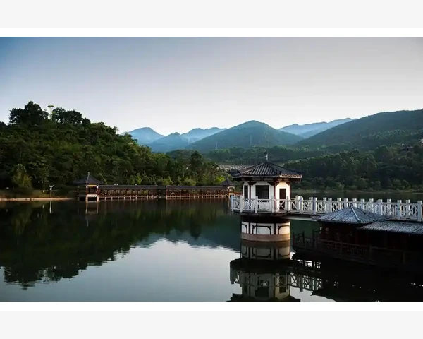 立高B2B在不同行业中的实际应用案例_B2B平台DJ实战玩法与运营技巧