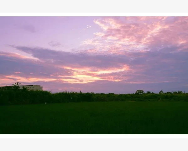 跨境电商B2B平台的关键功能_坯布B2B平台实操从选品到接单的全流程