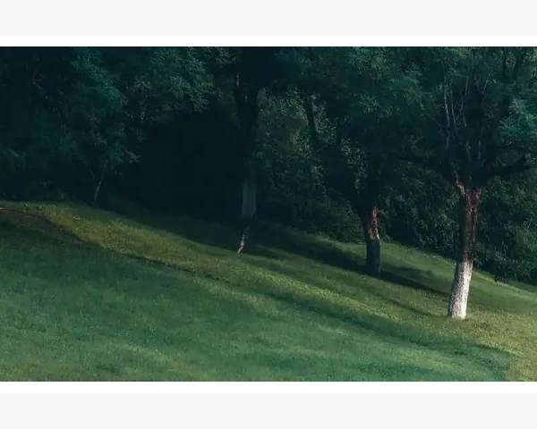 清洗与保养的正确方法_小众行业B2B布局该选全行业还是垂直深耕