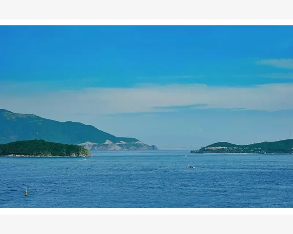 阿里巴巴是不是纯粹的B2B平台_靠会员和订阅制赚钱是持续收入的保障