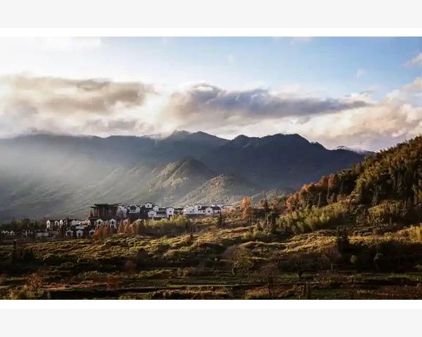 品牌总代用B2B管住下游拿货渠道_品牌总代用B2B管住下游拿货渠道